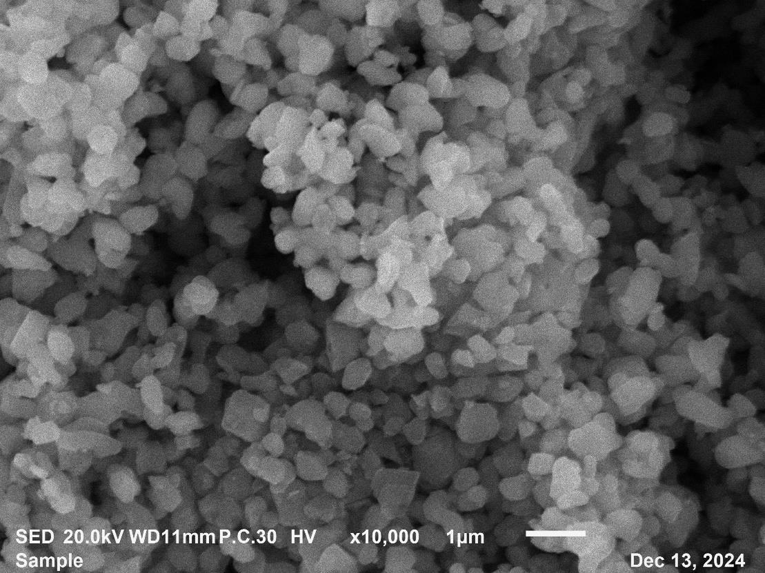 Reference SEM image for WAL-A07 fine alumina powder