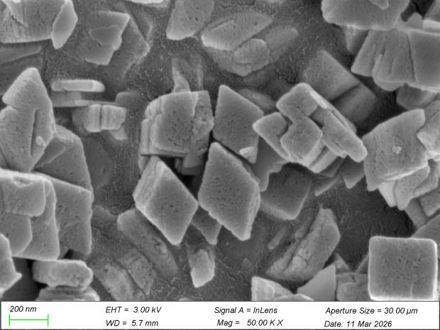 Reference SEM image associated with WAL-M07 fine mesoporous alumina