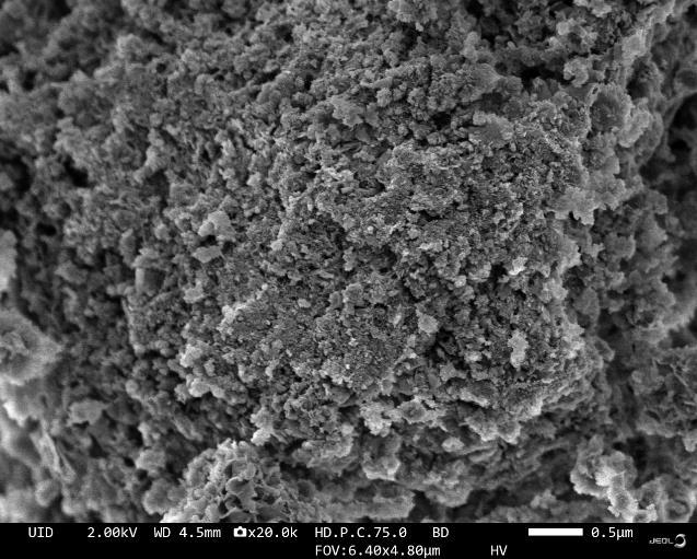 SEM for WAL-M300