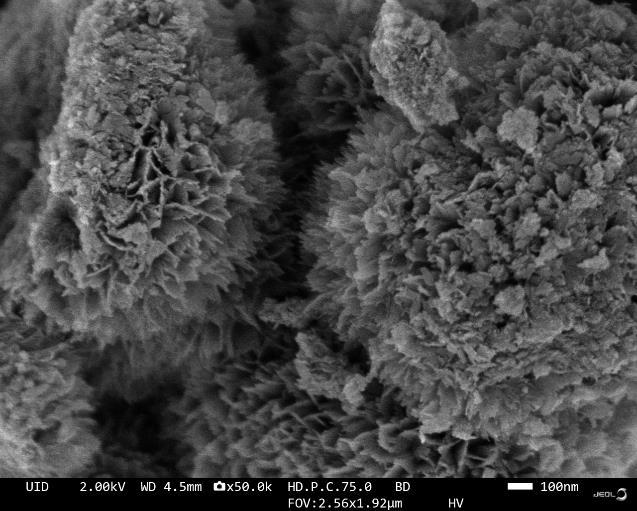 SEM for WAL-M400