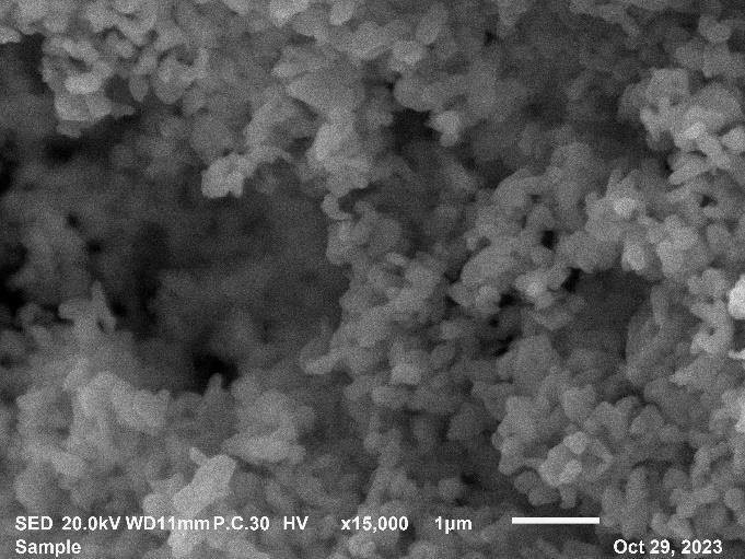 SEM for WAL-P05