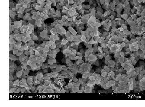 Reference SEM image for WBM-P07 boehmite powder