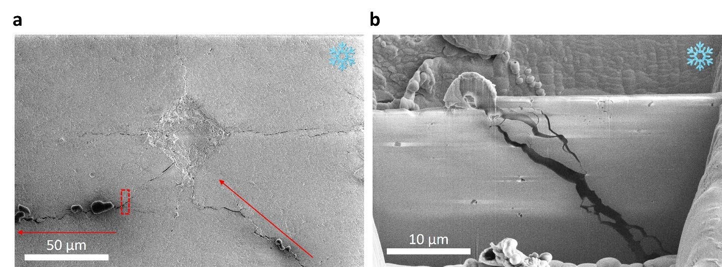 Lithium dendrite deflection in LLZTO garnet electrolyte