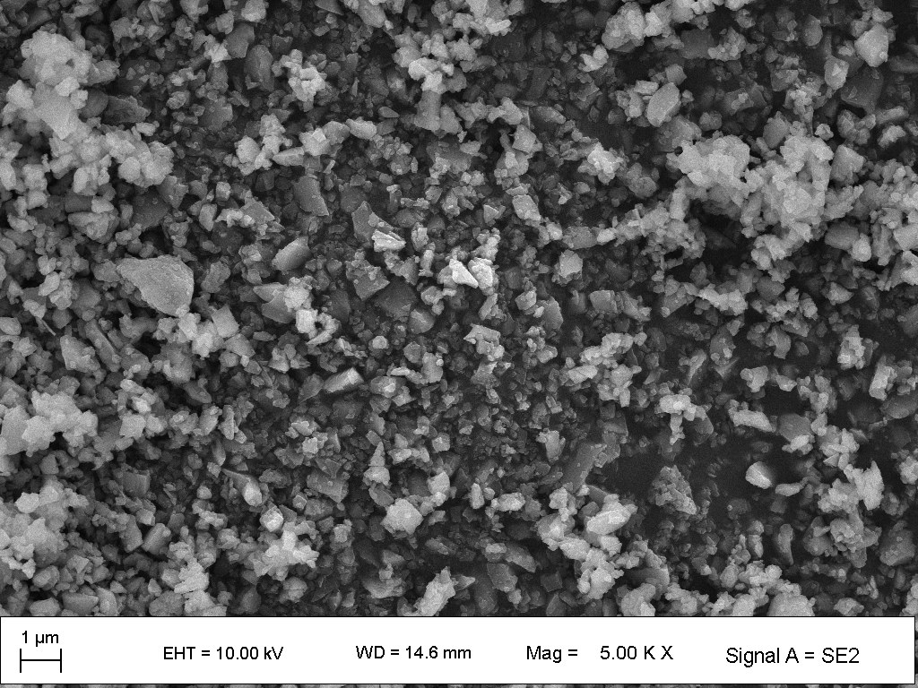 SEM image of LATP powder