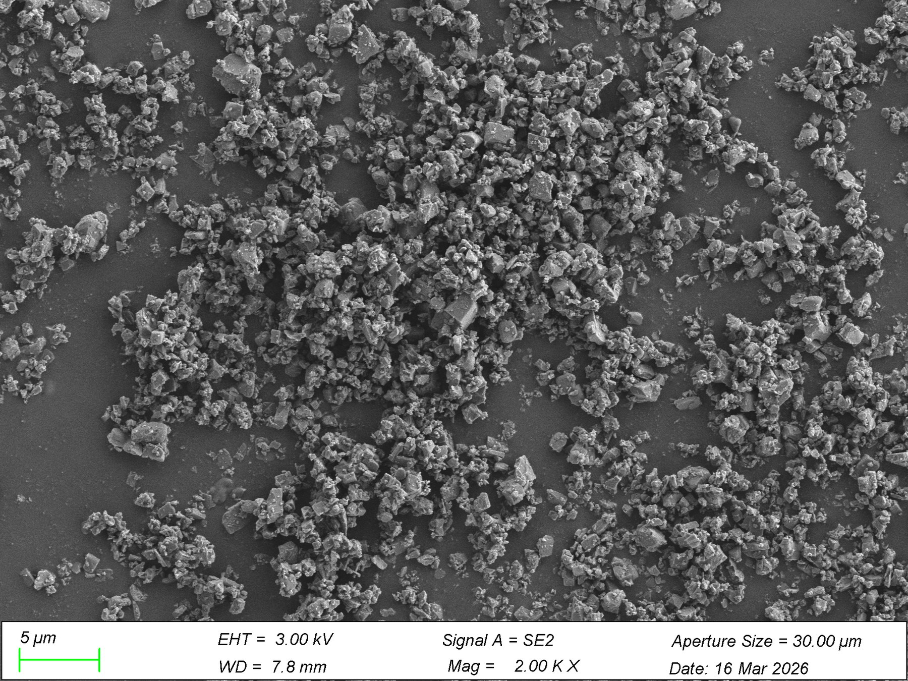 SEM image of LATP powder.