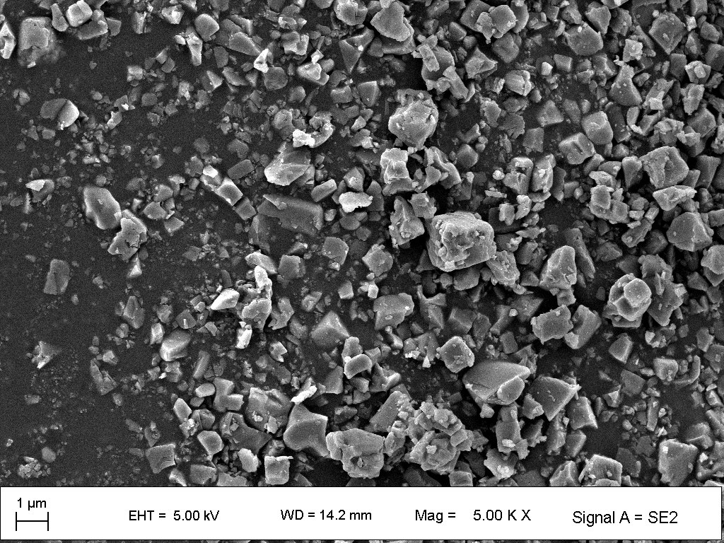 SEM image of LATP powder.