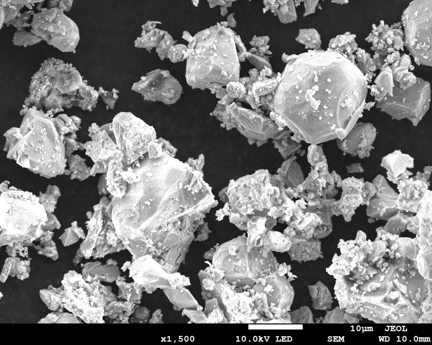 SEM image of LLZTO powder